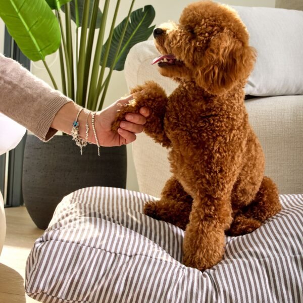 Cama para Perros Nube Rayas