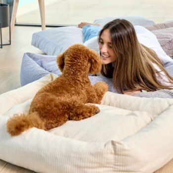 Cama para Perros Refugio Boho Beige