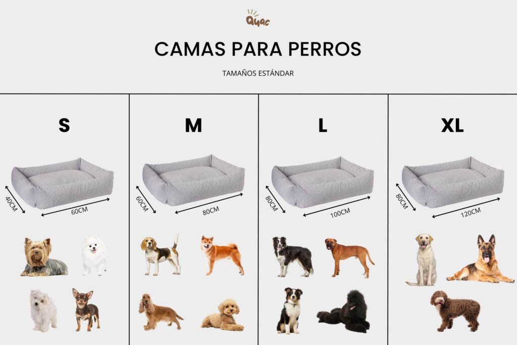 Tallas perros refugio