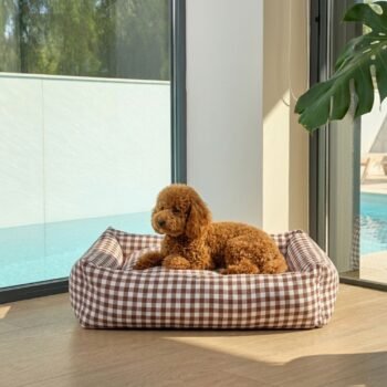 Cama para Perros Refugio Vichy Max