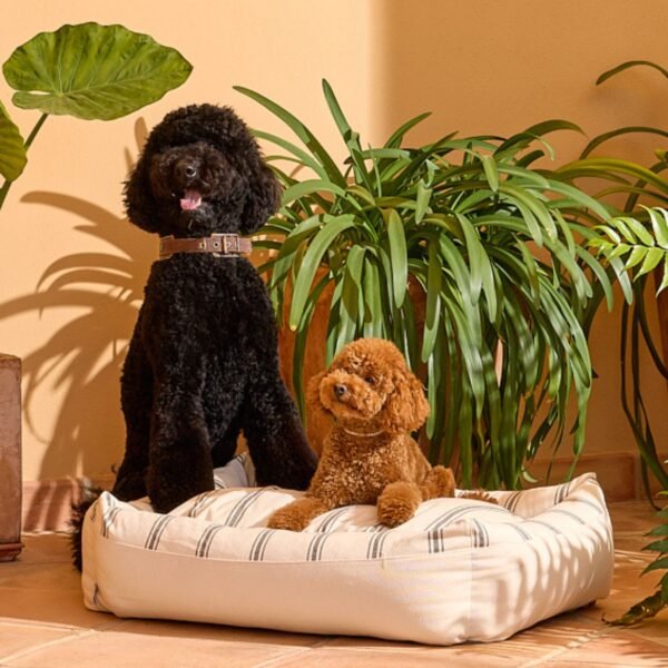 Cama para Perros Refugio Duo Rayas