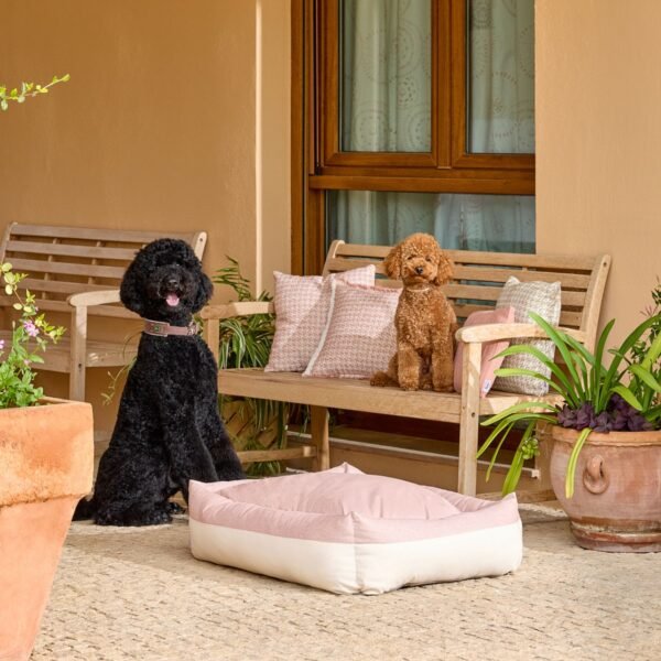 Cama para Perros Refugio Duo