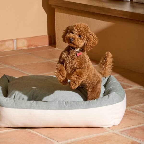Cama para Perros Refugio Duo