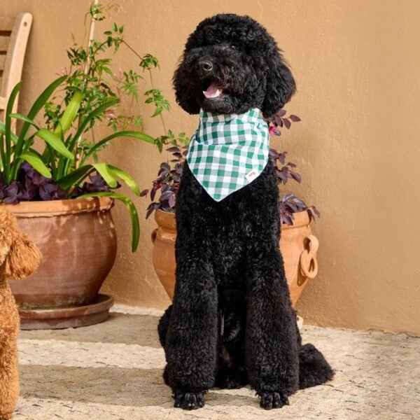 Bandanas Vichy para Perros