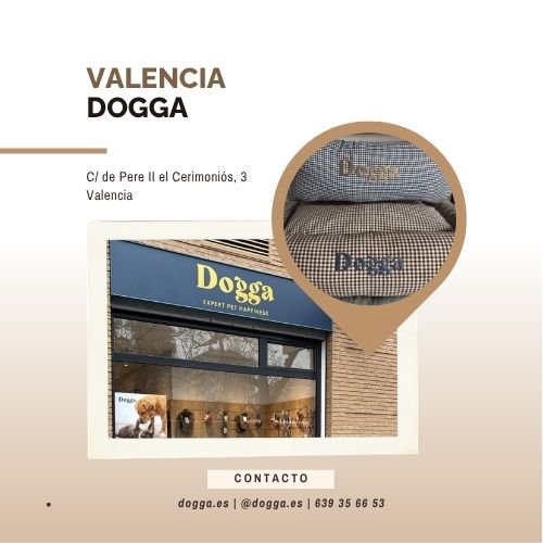 dogga