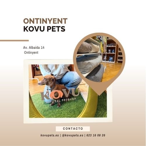 kovu pets