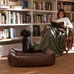 Cama Pana Wengue - Quac